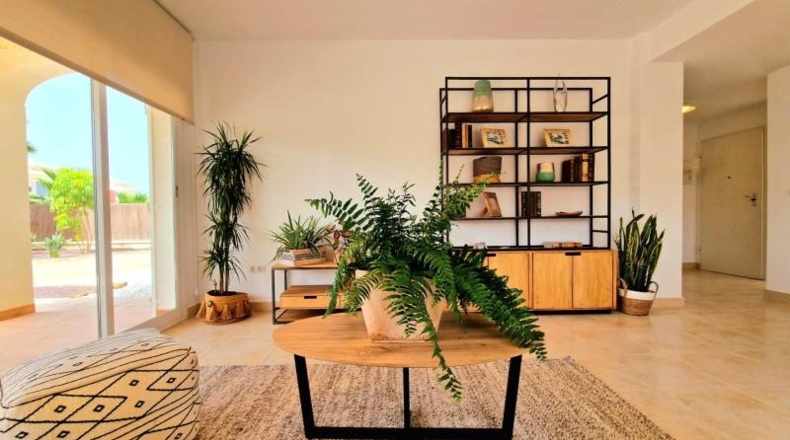 Murcia - Lorca - 560m2