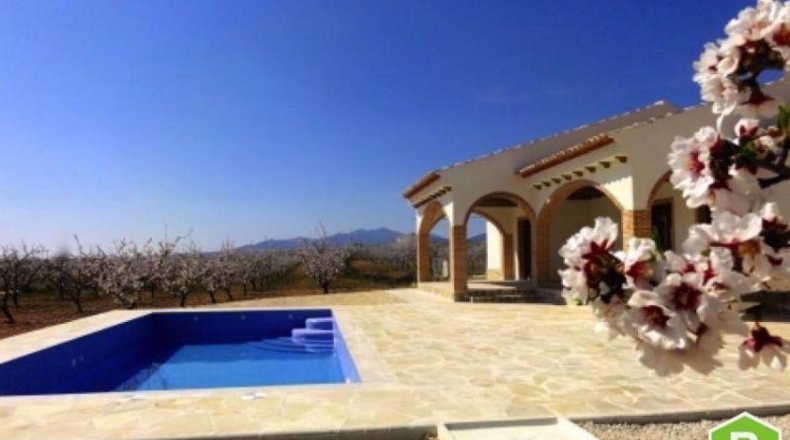 Alicante - Pinoso - 500m2