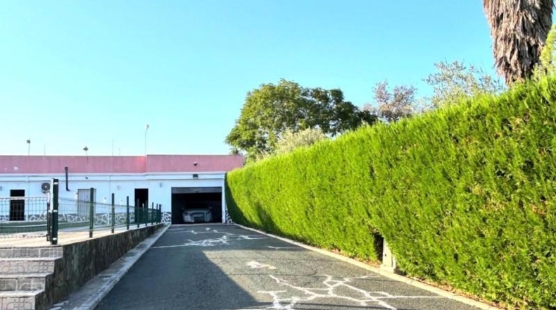 Sevilla - Castilblanco de los Arroyos - 2036m2