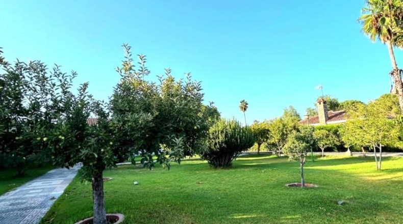 Sevilla - Castilblanco de los Arroyos - 2036m2