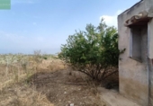 Загородный дом с участком на продажу в городе Santa Margalida Фото