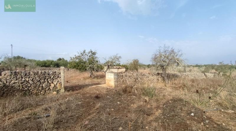 Islas Baleares - Santa Margalida - 14252m2