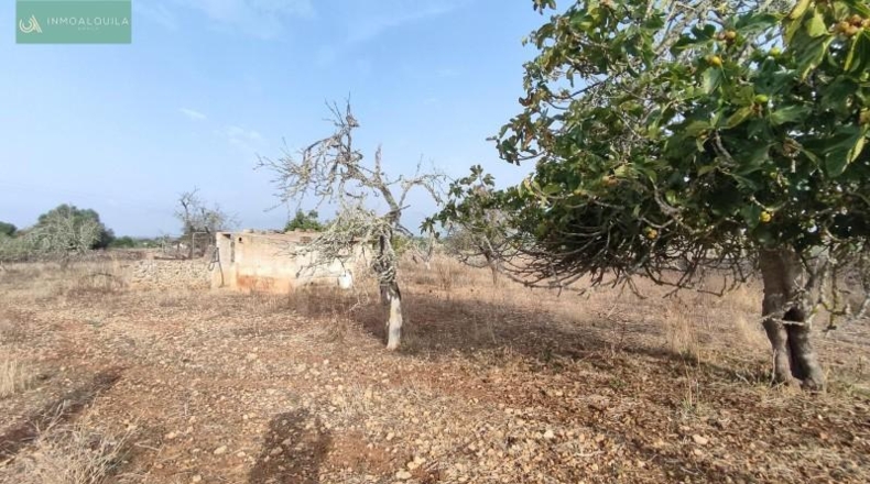 Islas Baleares - Santa Margalida - 14252m2