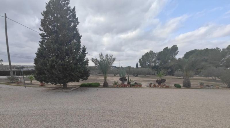 Murcia - Molina de Segura - 5000m2