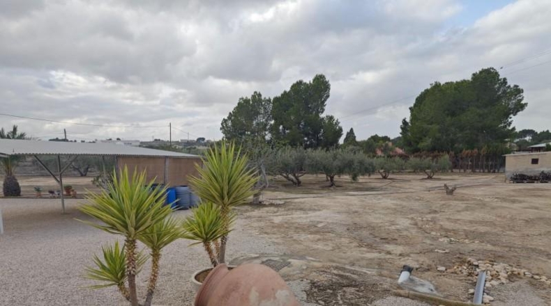 Murcia - Molina de Segura - 5000m2
