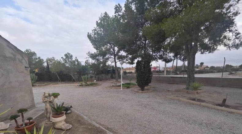 Murcia - Molina de Segura - 5000m2