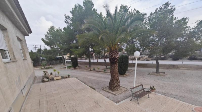 Murcia - Molina de Segura - 5000m2