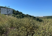 Non-developable land for sale on España, Estepona, ref: TR280118 photo