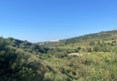Non-developable land for sale on España, Estepona, ref: TR280118 photo