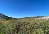 Non-developable land for sale on España, Estepona, ref: TR280118 photo