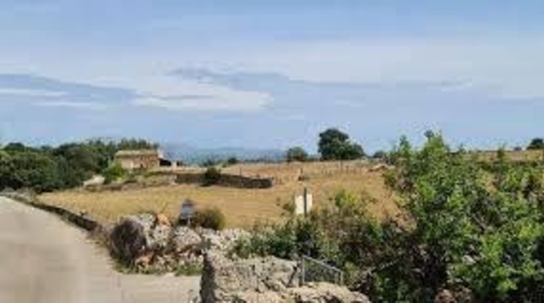 Balearic Islands - Sineu - 29000m2