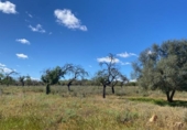 Casa con terreno en venta en la España, Sineu, ref: TR269801 foto