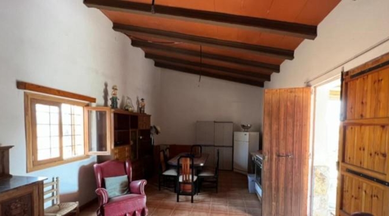 Balearic Islands - Sineu - 29000m2