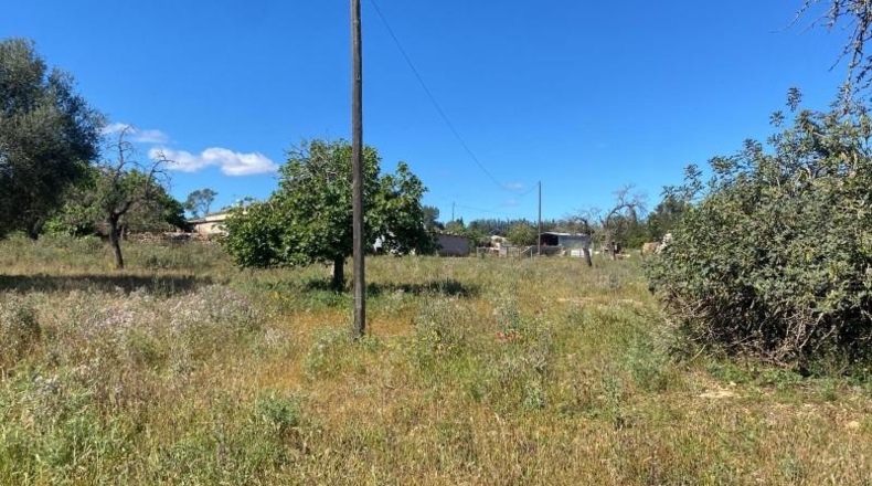 Balearic Islands - Sineu - 29000m2