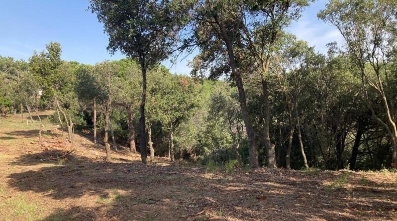 Barcelona - Sant Pol de Mar - 802m2