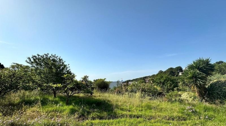 Barcelona - Sant Pol de Mar - 802m2