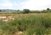 Sòl urbà en venda a la España, Múrcia, ref.: TR328797 foto