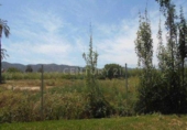 Sòl urbà en venda a la España, Múrcia, ref.: TR328797 foto