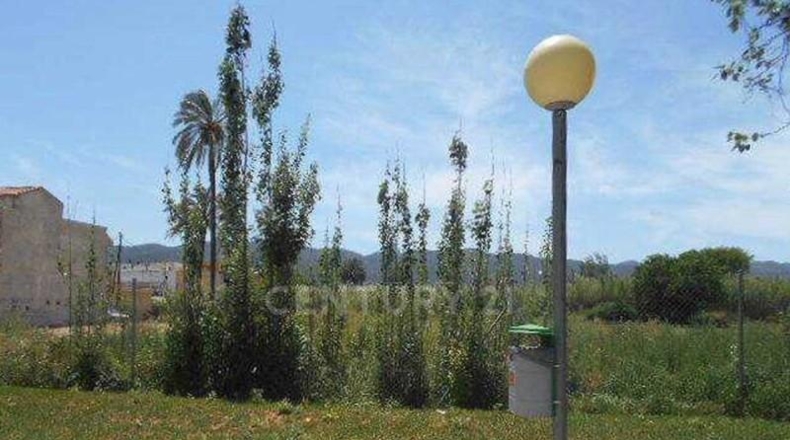 Murcia - Мурсия - 333m2