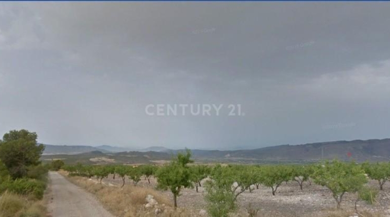 Murcia - Мурсия - 333m2