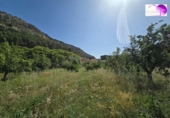 Участок с постройкой на продажу в городе Alhama de Aragón Фото