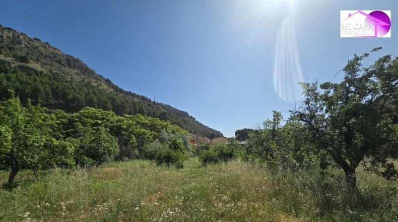 Zaragoza - Alhama de Aragón - 6000m2