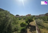 Участок с постройкой на продажу в городе Alhama de Aragón Фото