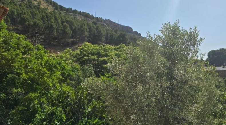 Zaragoza - Alhama de Aragón - 6000m2