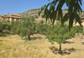 Участок с постройкой на продажу в городе Alhama de Aragón Фото