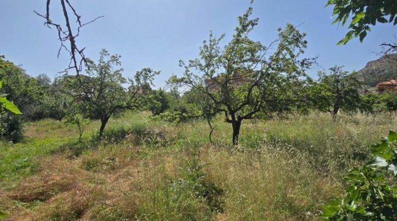 Zaragoza - Alhama de Aragón - 6000m2