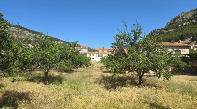 Zaragoza - Alhama de Aragón - 6000m2
