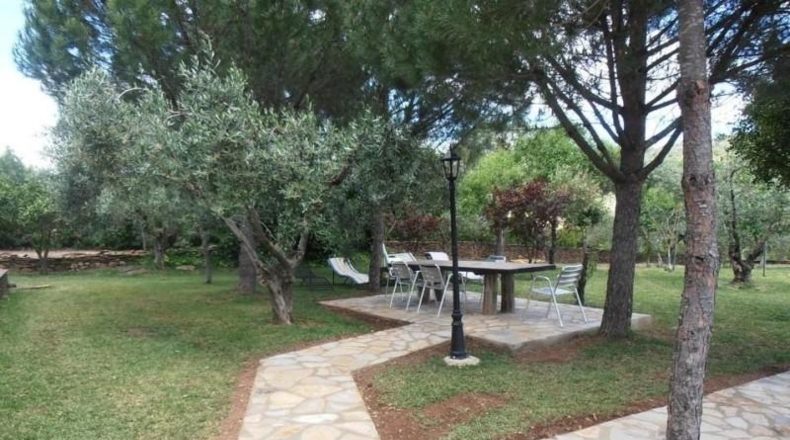 Badajoz - Puebla de Obando - 12000m2