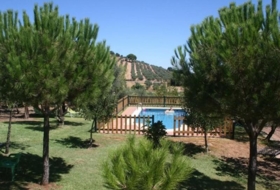 Foto 18