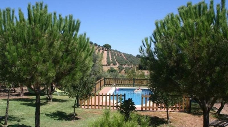 Badajoz - Puebla de Obando - 12000m2