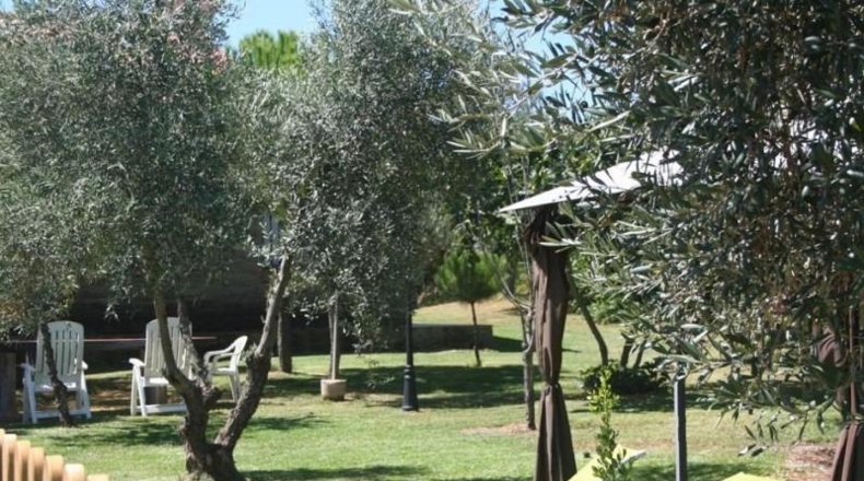 Badajoz - Puebla de Obando - 12000m2