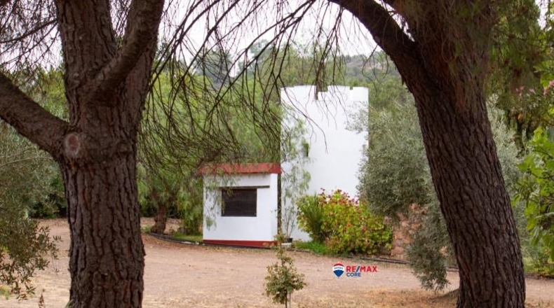 Badajoz - Puebla de Obando - 12000m2