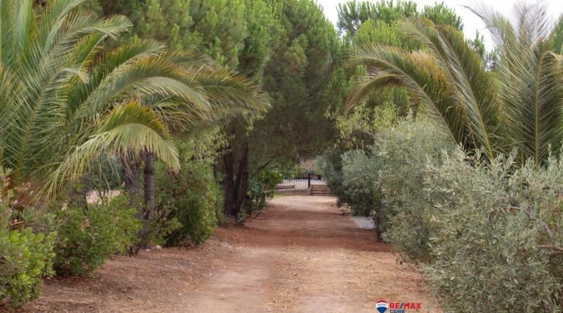 Badajoz - Puebla de Obando - 12000m2