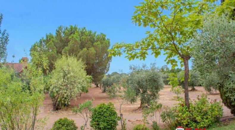 Badajoz - Puebla de Obando - 12000m2