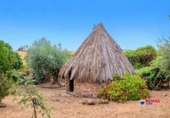 Casa de camp amb terreny en venda a la España, Puebla de Obando, ref.: TR314663 foto