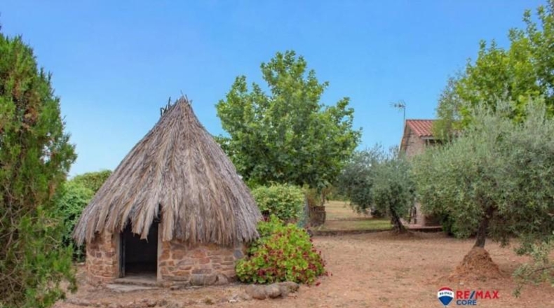Badajoz - Puebla de Obando - 12000m2