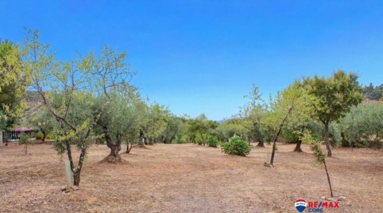 Badajoz - Puebla de Obando - 12000m2