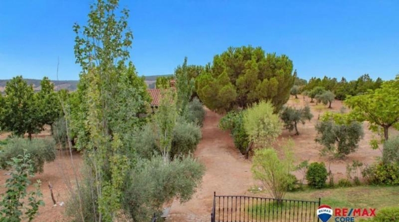 Badajoz - Puebla de Obando - 12000m2