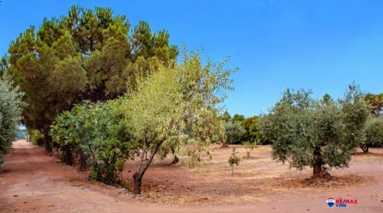 Badajoz - Puebla de Obando - 12000m2