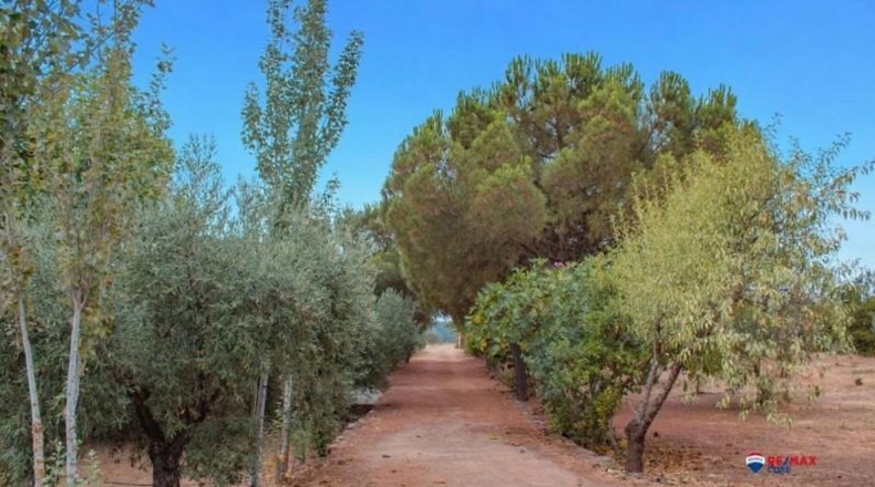 Badajoz - Puebla de Obando - 12000m2