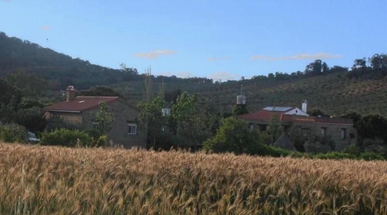 Badajoz - Puebla de Obando - 12000m2