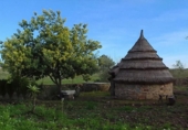 Casa de camp amb terreny en venda a la España, Puebla de Obando, ref.: TR314663 foto