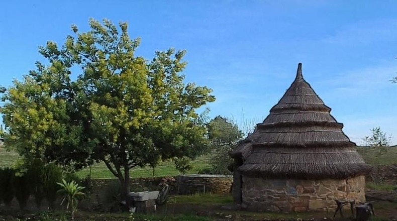 Badajoz - Puebla de Obando - 12000m2