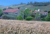 Casa de camp amb terreny en venda a la España, Puebla de Obando, ref.: TR314663 foto