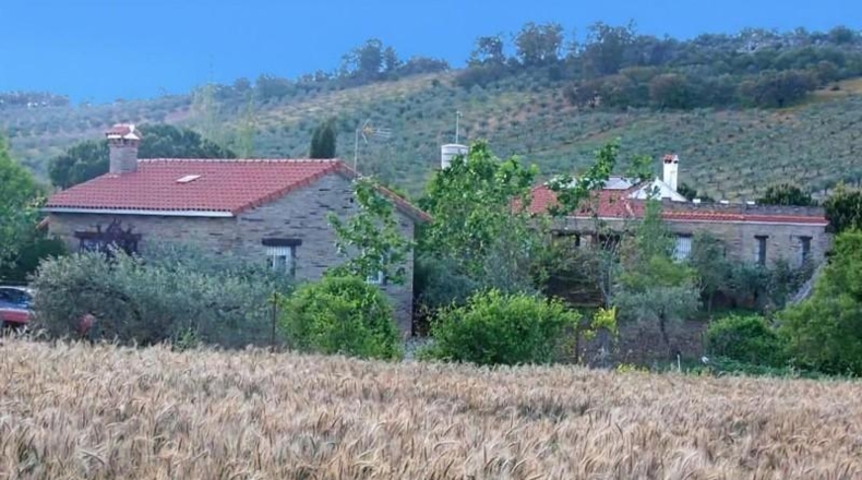 Badajoz - Puebla de Obando - 12000m2