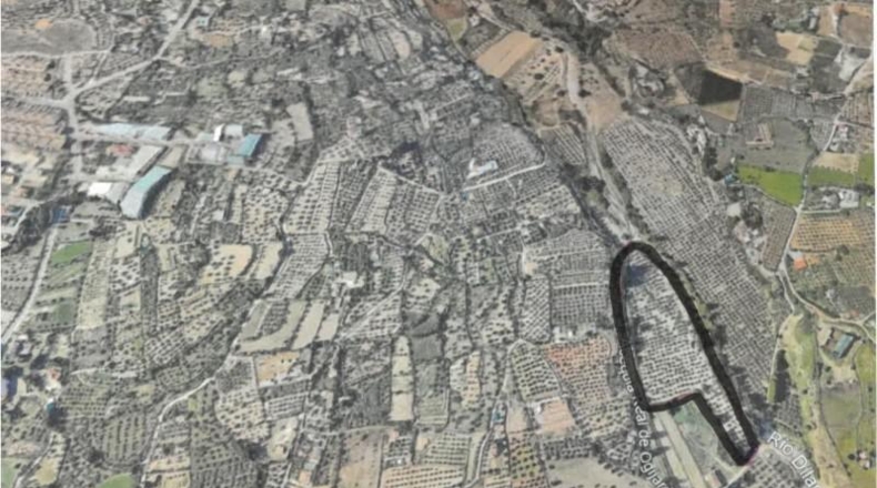 Jaén - Larva - 20000m2